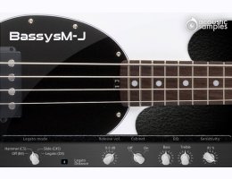 Acousticsamples Bassysm-J