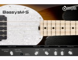 Acousticsamples Bassysm-S