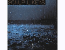 Touch Loops Soulful Keys