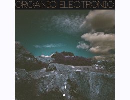 Touch Loops Organic Electronic