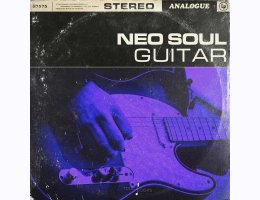Touch Loops Neo Soul Guitars