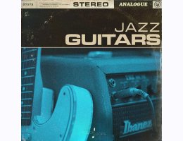 Touch Loops Jazz Guitars