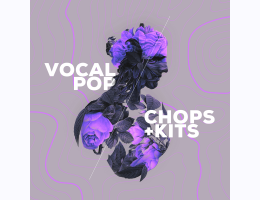 Audiomodern Vocal Pop